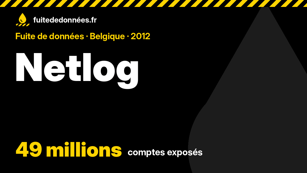 Netlog : confirmée