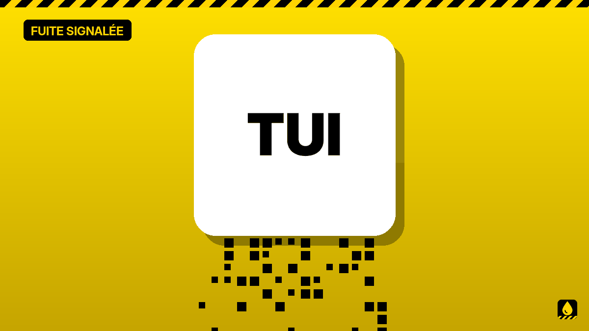 TUI : signalée